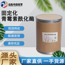 现货固定化青霉素酰化酶 工业级医药中间体 固定化青霉素酰化酶