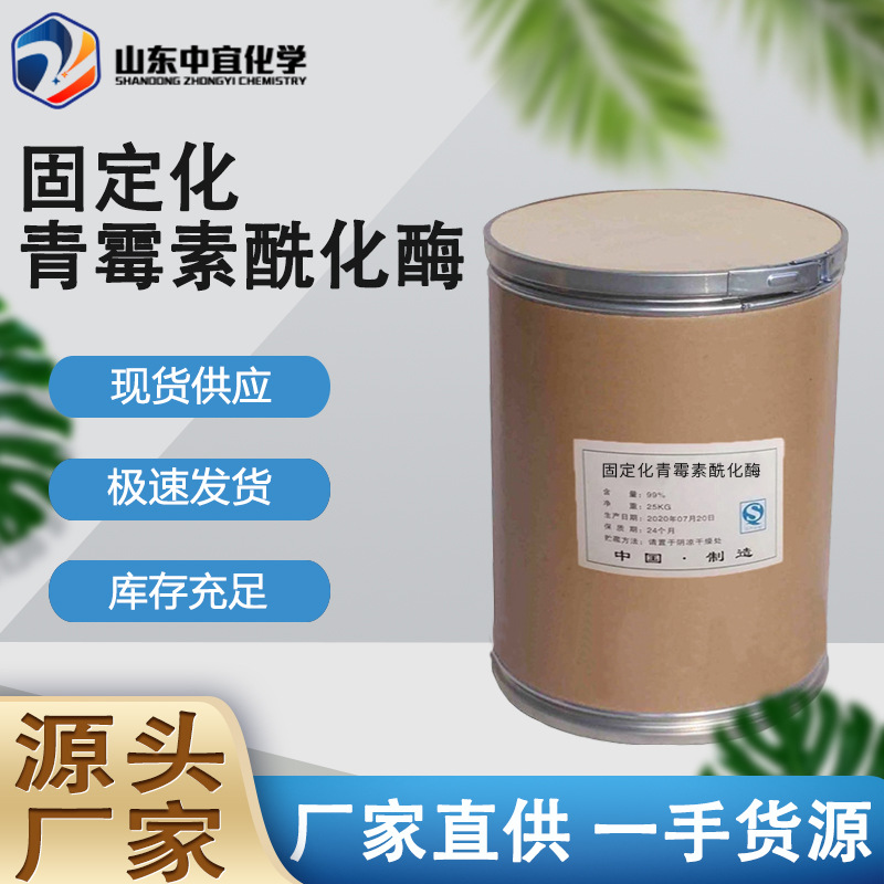 现货固定化青霉素酰化酶 工业级医药中间体 固定化青霉素酰化酶