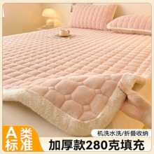 加厚牛奶绒床护垫冬季加绒保暖家用床褥子珊瑚绒床垫三件套床盖a