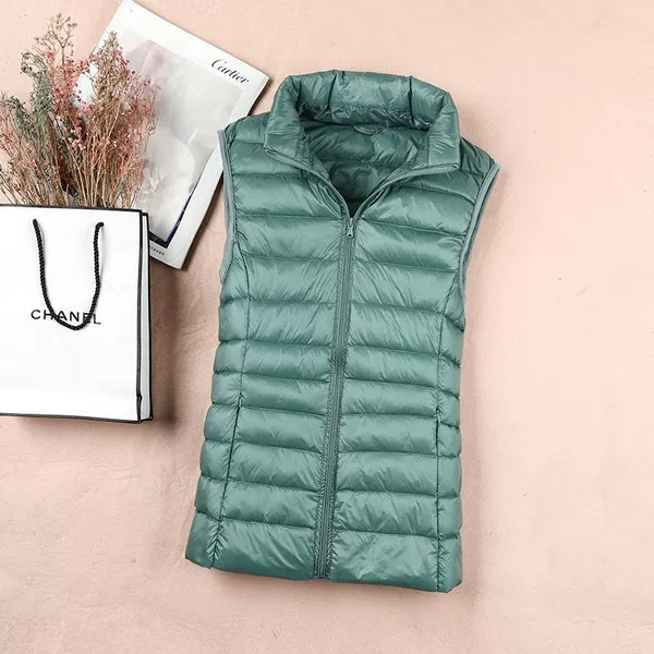 Blue vest