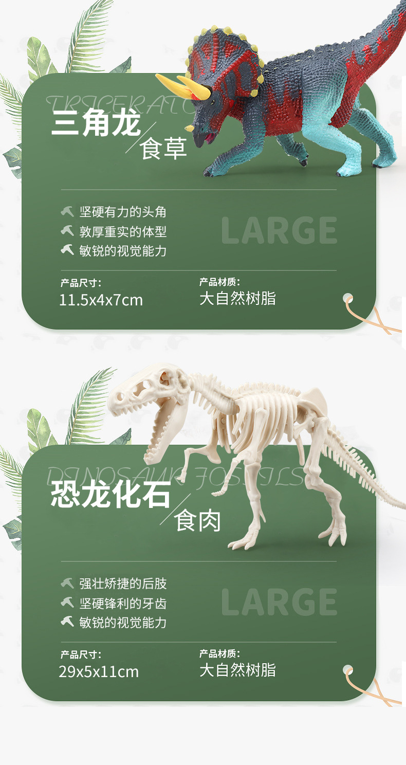 恐龙详情_19.jpg