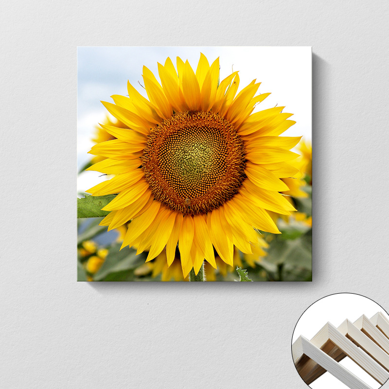 Pintura decorativa coreana girasol Sala de estar moderna y simple flores de sol colgando pintura mural del dormitorio del restaurante pintura cuadrada sin marco