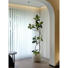 海虹の景品はバングラデシュのシミュレーションです。