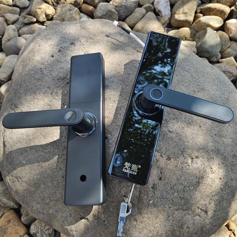 Cerradura inteligente para puerta de madera, TTLock, huella digital y contraseña, control remoto, uso en apartamentos