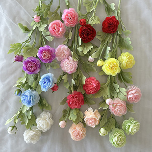 �Wʽ�b�¶ɏ���q���������滨���˹��廨�zӰ������������ٻ���