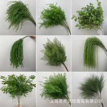 �¿��c����Gֲ���ĵ�픻���Y�廨��ˇ�J���ݽ����G�~�ٻ�����