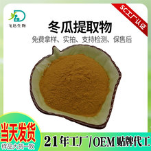 冬瓜提取物水溶冬瓜粉果蔬提取物现货批发可定制白色冬瓜粉