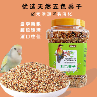 �W�^����B�Z��ϼZʳ���P��Ƥĵ�������Bʳʳ����ɫ���ӹ��ӎ���