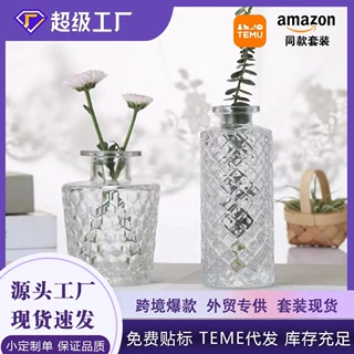 玻璃花瓶高级感水培植物瓶 插花迷你小花瓶 欧式香薰透明花瓶定制
