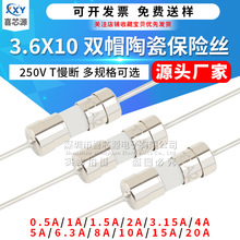 Դͷ���� 3.6*10mm˫ñ�մɱ���˿T0.5A/1/2/3.15/5/6.3A-20A����