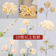 �㙉ɫ3D��ӡ����õ���w����հ�����滨�Ҿӻ�c�ٻ����컨��
