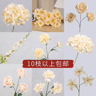 �㙉ɫ3D��ӡ����õ���w����հ�����滨�Ҿӻ�c�ٻ����컨��