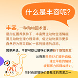 Мятная игрушка, кот, домашний питомец