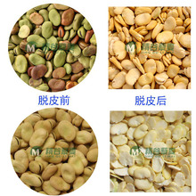 山东菏泽6FT-B7型蚕豆整粒脱皮机 蚕豆扒皮机 兰花豆脱壳去皮机