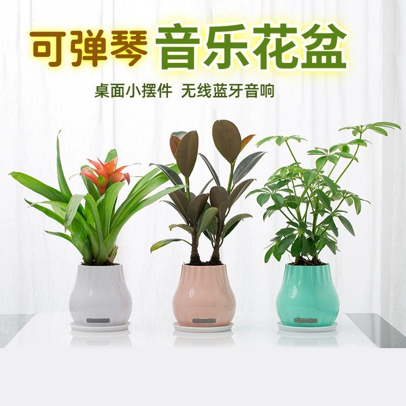 Трансграничный горячий музыкальный цветочный горшок, касаясь листьев, можно играть на пианино