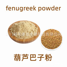 食品级葫芦巴籽粉  芦巴子粉 葫芦巴粉 fenugreek powder