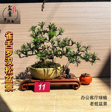 _h͘辰ϘԾGֲk҃ȿ͏d_hϘ