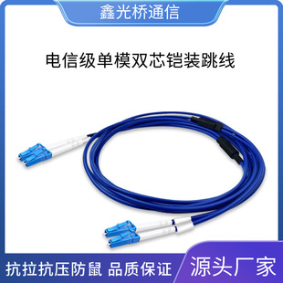 Telecom-grade armored optical fiber jumper LC-LC single-mode dual-core moisture-proof and rat-proof network optical fiber line 3 meters 5 meters 10 meters