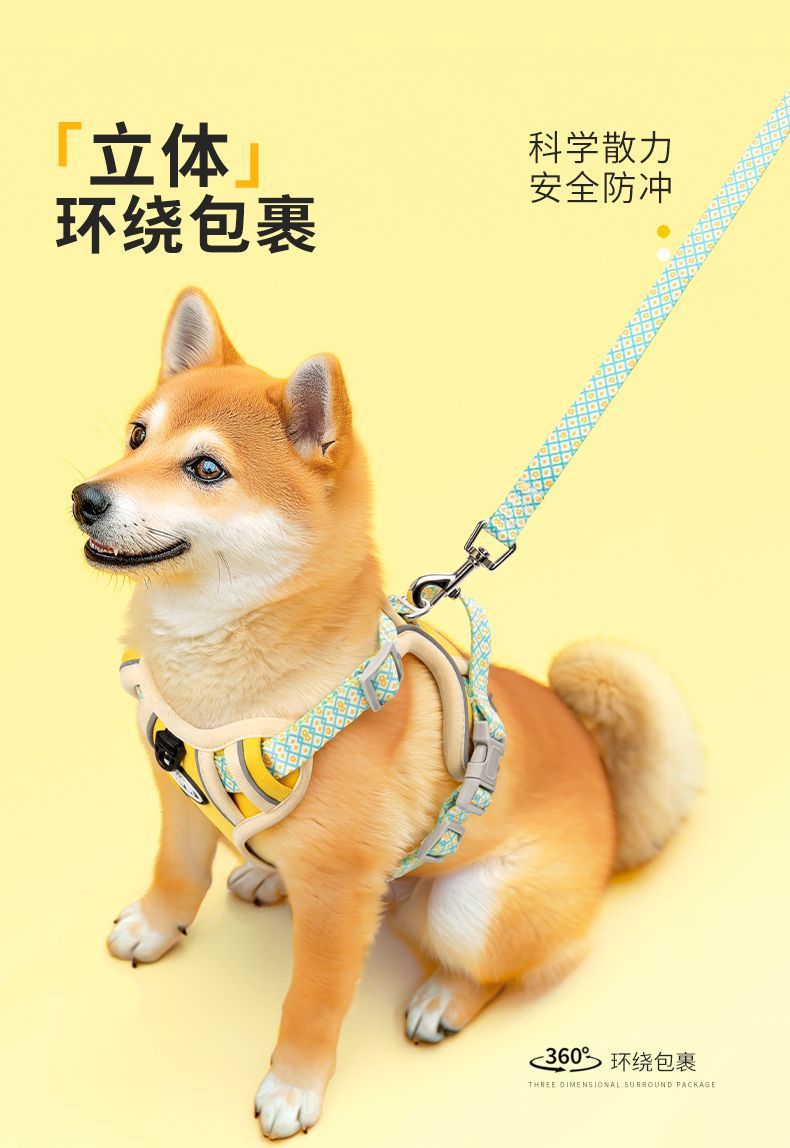 7177ebb7-9d23-4fe0-b7cc-f64dd7badd0f.jpe