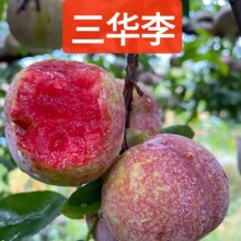 �F؛�X�żt�����A�����rˮ���������Ҵ����ش����������