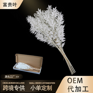 ���F�~�������羳���N�ɻ����R�d�ҾӲ廨�b��s�Ldiy���λ���