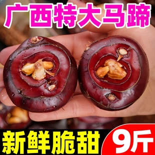 �V�����R��ݩ�j���r��ʳ����ˮ���߲������R����ڴ���������]