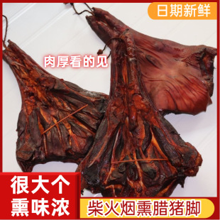 �D�i�_�����خa�ؘ�Ѿ��Ѭ�D�i���r���LζѬ���i���D�i�������l