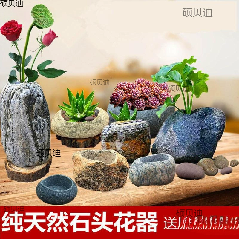 Конечно, каменный цветочный горшок оригинальный экологический творческий суккуленты