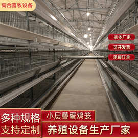 小层叠蛋鸡雏鸡笼子三层养殖设备全自动收集清理粪便热镀锌养殖场