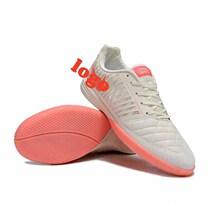 ����S�����籭�羳����ЬIC�҃ȱ�ِС��֮��ƽ��Lunar Gato II
