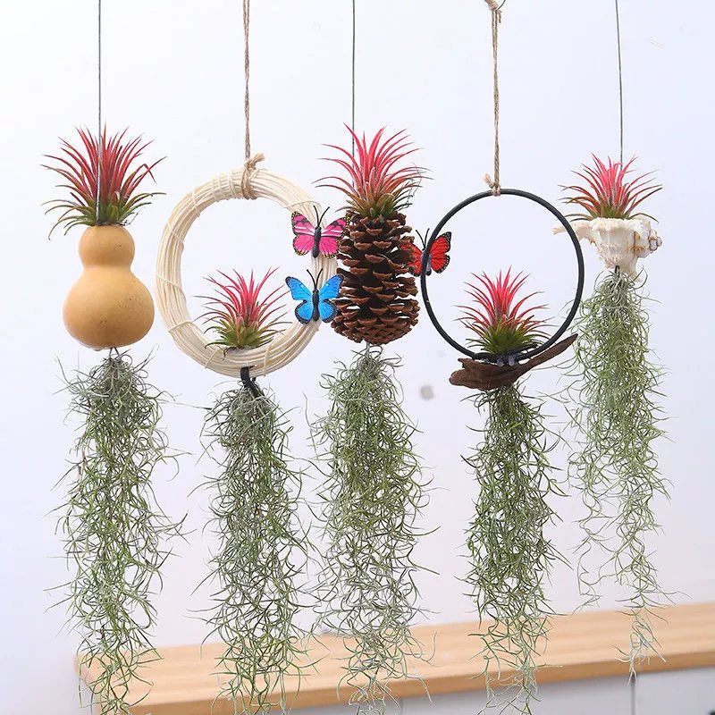 Висячее украшение для офиса, комбинированное из ананаса, безземельного растения, травы, лишайника, бороды старика, поглощающее формальдегид, зелёное растение.