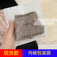 现货内裤包装袋女士内裤独立包装袋子内裤包装袋高级感密封袋子