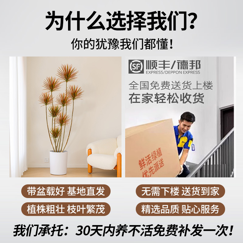 商品图