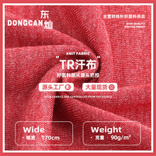 TR汗布 90g粘胶彩棉拉架单面复合底布 春夏平纹T恤打底针织面料