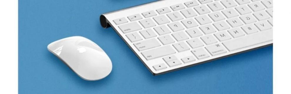 96ae5948-824c-4351-8ff6-3d04616b4bda.jpe