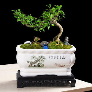 �L���λ����մɺ��s�҃Ȃ����̨�m����������m�S����Ř��ڏ�
