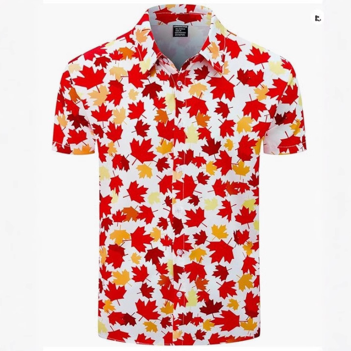 男式夏威夷衬衫，男夏季海滩休闲短袖纽扣衬衫，印花