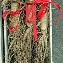 �L��ɽ���r�˅�����߅�l���@��ɽ������ɽ��Ұɽ�����˅����r��