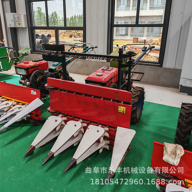 微信图片_20260610103717_535_5_副本.j