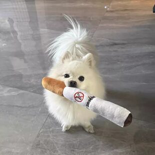 �����l���ë�q�㟟С��ĥ����ҧ���˽␞������Ȯ���܌�����Ʒ