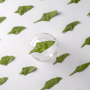 ��Ů���~ �ɻ������ֹ��֙C�����zֲ��̌W�˱����DIYѺ���N��