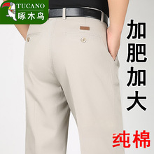 ��ľ�B�������eѝ��ѝ��������������d���ɴ�a�p�޴���ְ�ѝ