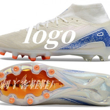 2024Sl羳̿16ߎagLЬʿ2024¿