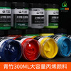 Bamboo Acrylic paint 300ml High-capacity 12 colour Hand-painted wall Graffiti propylene Spinning draw Pigment suit