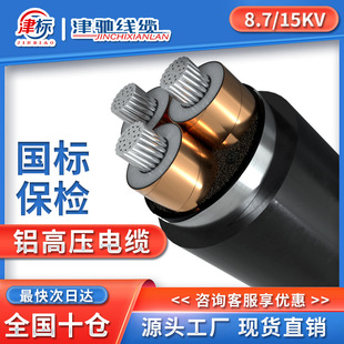 ����10KV�߉���|����|50 70 95 120ƽ���Xо��|�X�߉���|��