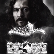 ����������߅~С�����ǽ�ָ~���ֵ��H����r���_��ָ�hinsʳָ