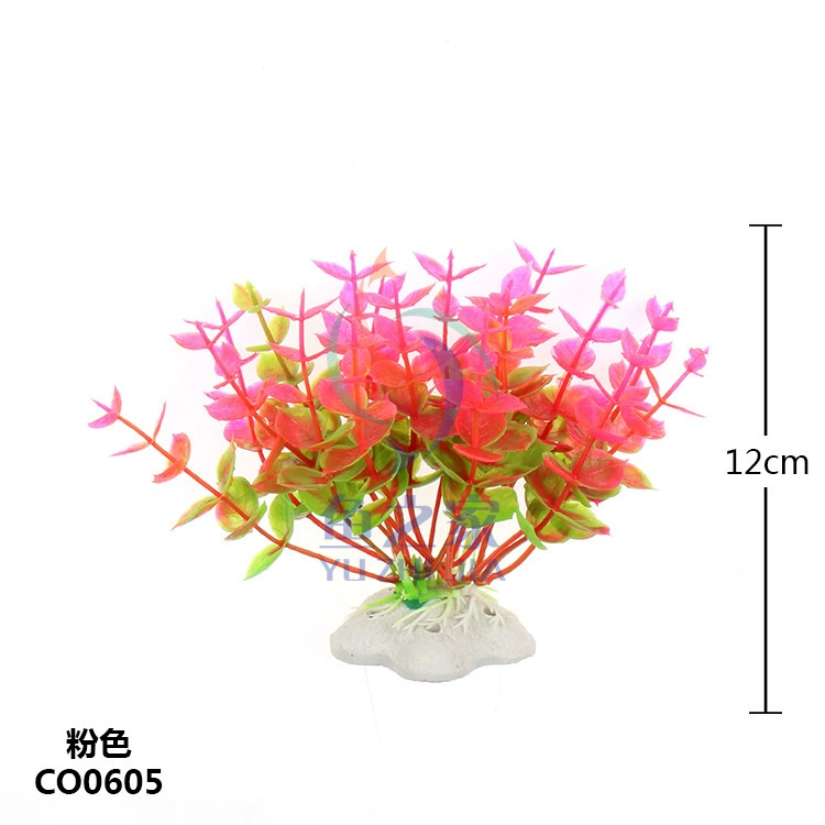 Li Zhiyuan аквариум оптовые поставки аквариума аквариум ландшафтного моделирования водных растений CO06