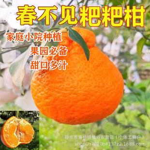 ��Ҋ�ҰҸ̷N�Ә���޽��Ĵ����θ����ӷN���ͺ����Լ�ͥСԺ