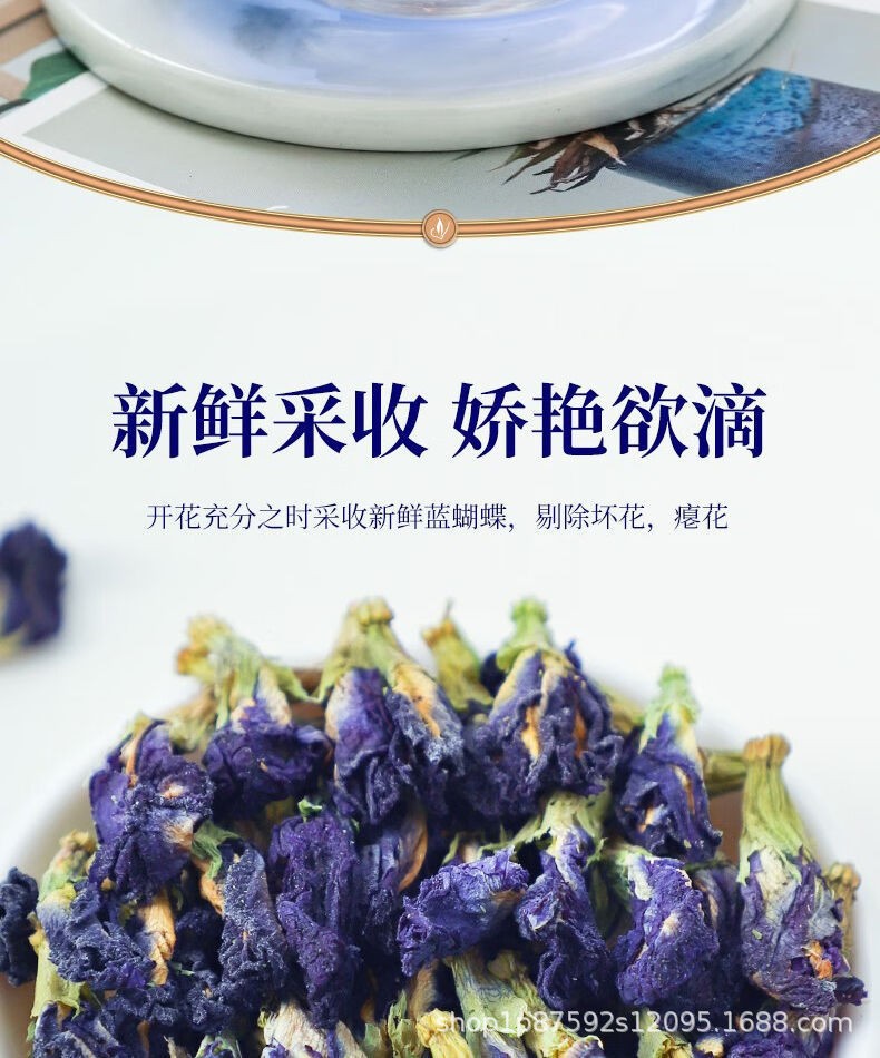 Butterfly Pea Flower Tea Lan Hu Die 30 Teabags 70g Dried Blue Floral Herbal Tea for Cold Brew in use