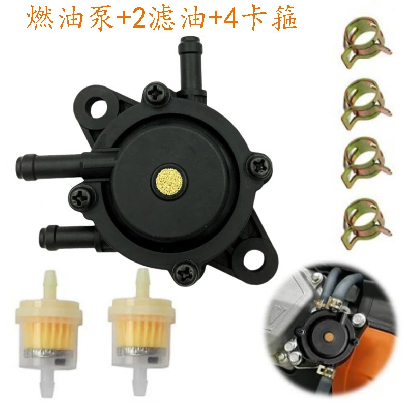 Комплект топливного насоса Briggs & Stratton 491922 691034 692313 808492 808656 808281